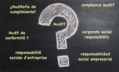 What is a social responsibility audit?