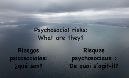 Psychosocial risk factors in the auditing context